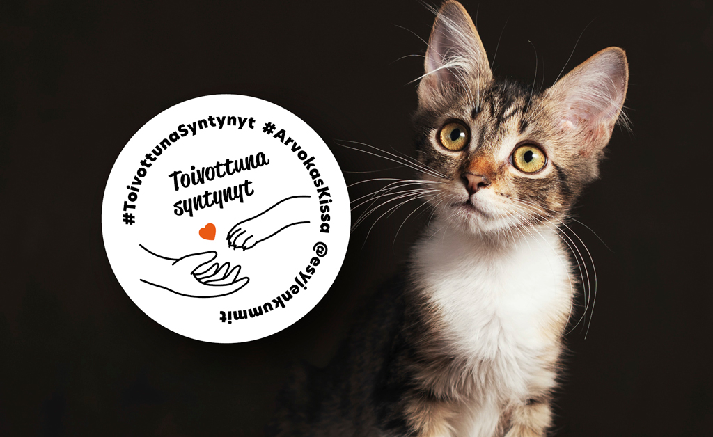 Eläinsuojeluyhdistysten Kummit käyttää eläinlääkäriopiskelijoilta saadun lahjoituksen kissapopulaatioiden hoitoon ja ehkäisyyn
